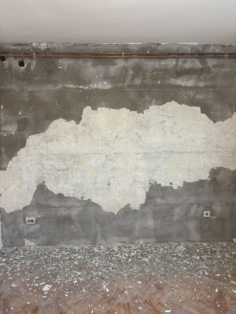 Renovacija Ivanja Reka