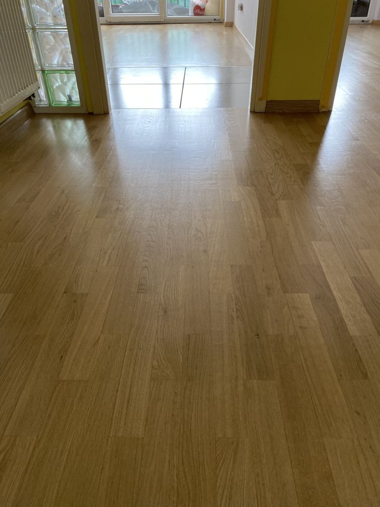 Adaptacija, Stenjevec